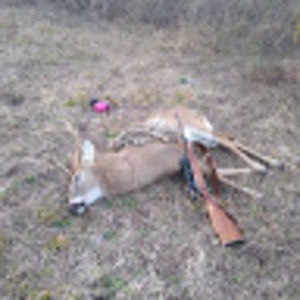 Meet your Posher, Ty